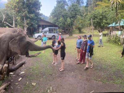 Photos from our guests | Chiang Mai Trekking | The best trekking in Chiang Mai with Piroon Nantaya